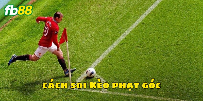 Áp dụng cách soi kèo phạt góc cho từng tình huống