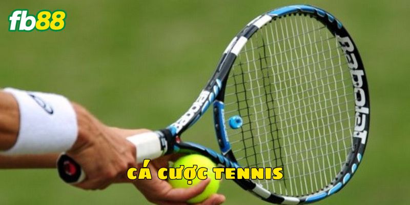 Bí quyết chơi cá cược tennis thắng lớn
