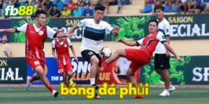 Bóng đá phủi là gì?
