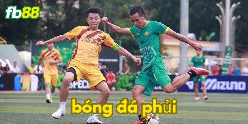 Các thể loại sân bóng đá phủi