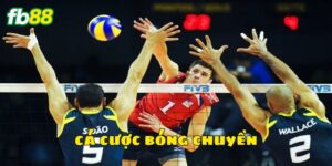 Đôi nét về cá cược bóng chuyền hấp dẫn