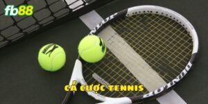 Đôi nét về cá cược tennis cực thú vị