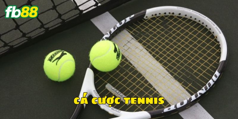 Đôi nét về cá cược tennis cực thú vị