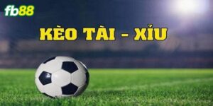 Đôi nét về soi cầu tài xỉu