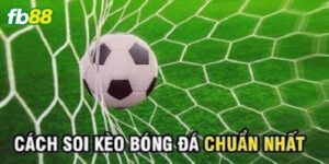 Đôi nét về soi kèo