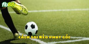Kèo phạt góc hấp dẫn tại nền tảng