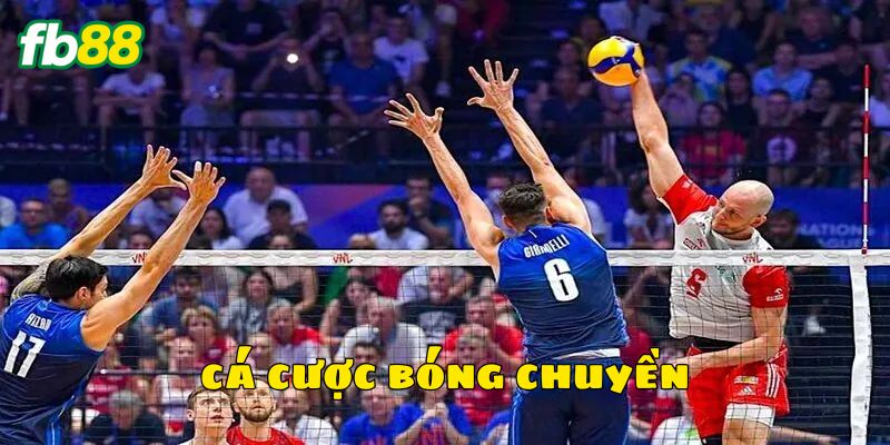 Lưu ý để chơi cá cược bóng chuyền hiệu quả