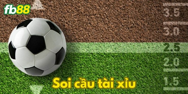 Lưu ý khi soi cầu tài xỉu