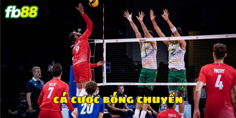 Một số kèo cá cược bóng chuyền phổ biến