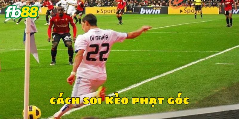 Những cách soi kèo phạt góc giúp bạn thắng lớn