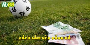 Tại sao cần biết cách làm kèo bóng đá?