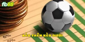 Tổng quan về kèo trên kèo dưới hấp dẫn